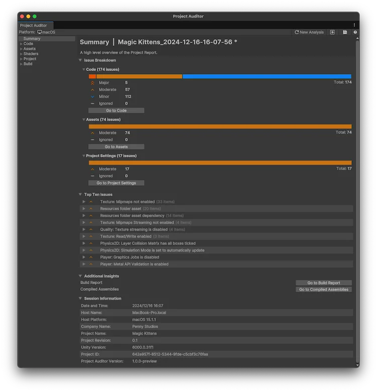Project Auditor 1.0 summary of project issues